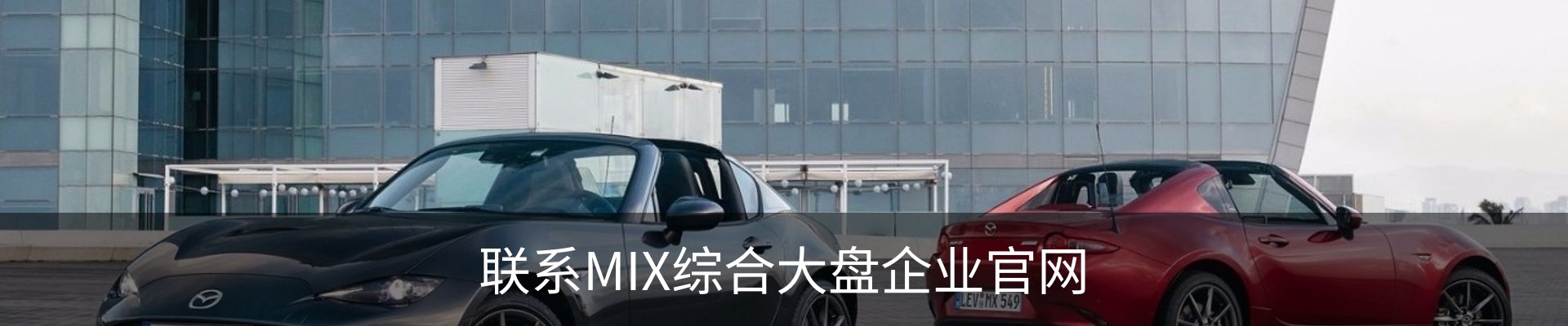 联系MIX综合大盘企业官网