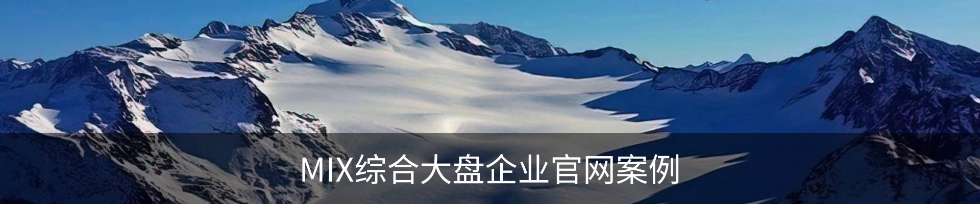 MIX综合大盘企业官网案例